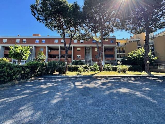 appartamento in vendita a Roma in zona Casal Palocco