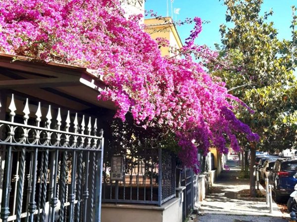 appartamento in vendita a Roma in zona Prenestino-Centocelle