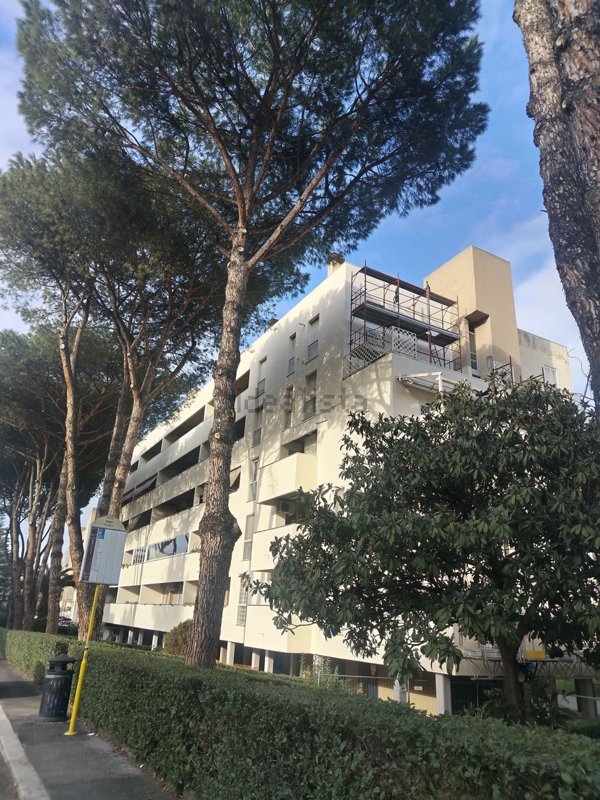 appartamento in vendita a Roma in zona Torre Gaia