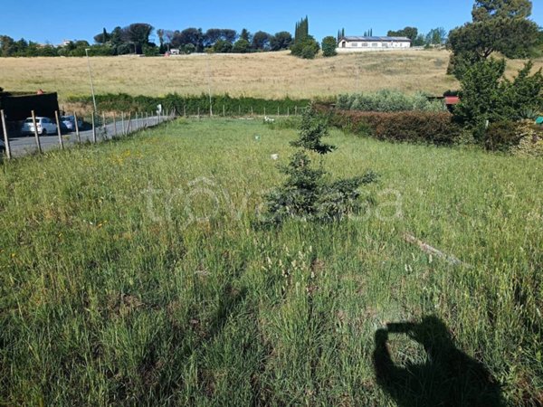 terreno agricolo in vendita a Roma in zona Monte Migliore