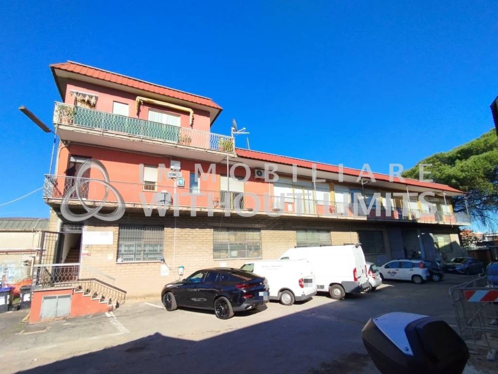 negozio in vendita a Roma in zona Tor Vergata/Torrenova