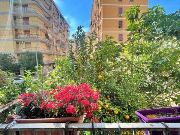 appartamento in vendita a Roma in zona Cinecittà