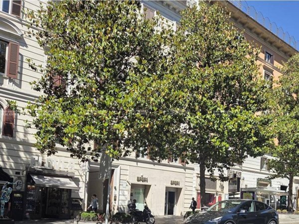 negozio in vendita a Roma in zona Tor di Quinto