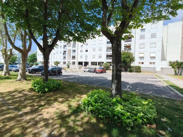 appartamento in vendita a Roma in zona Casal Palocco