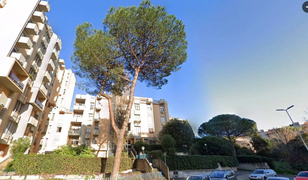 appartamento in vendita a Roma in zona EUR