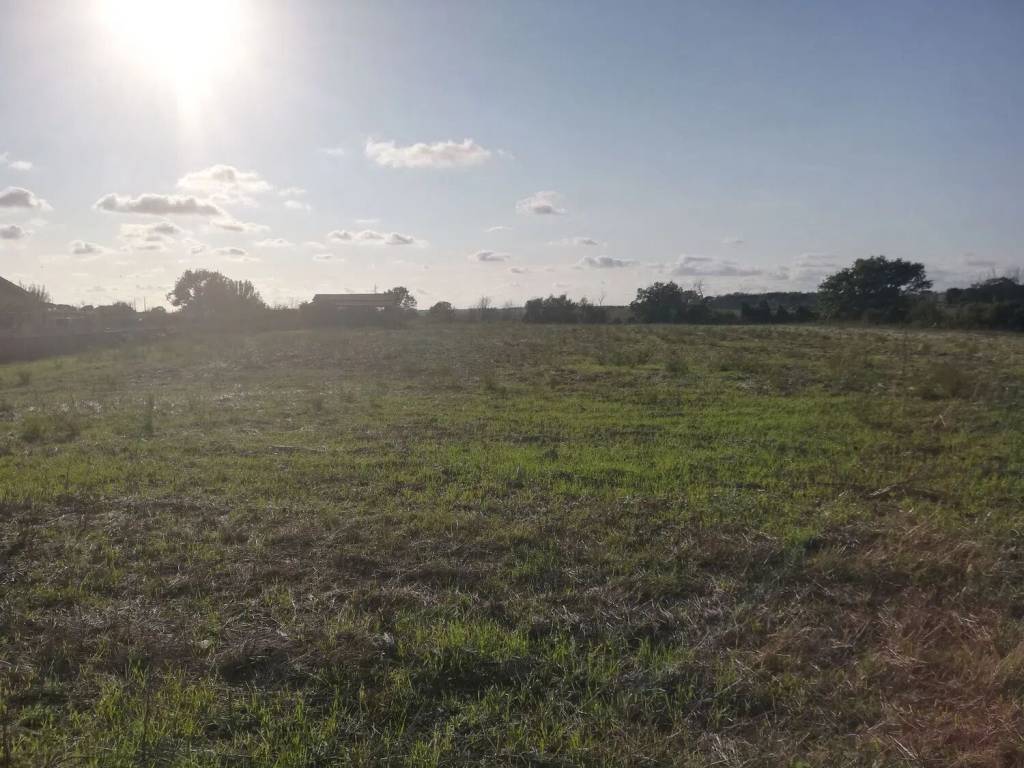 terreno agricolo in vendita a Roma in zona Casalotti