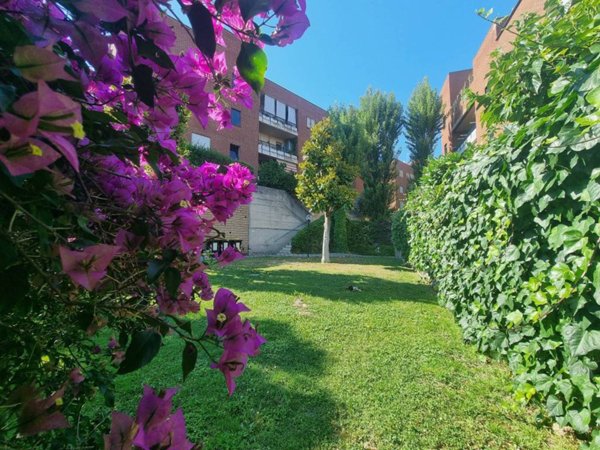 appartamento in vendita a Roma in zona Colle del Sole