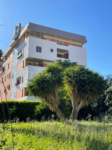appartamento in vendita a Roma in zona Monte Sacro/Talenti