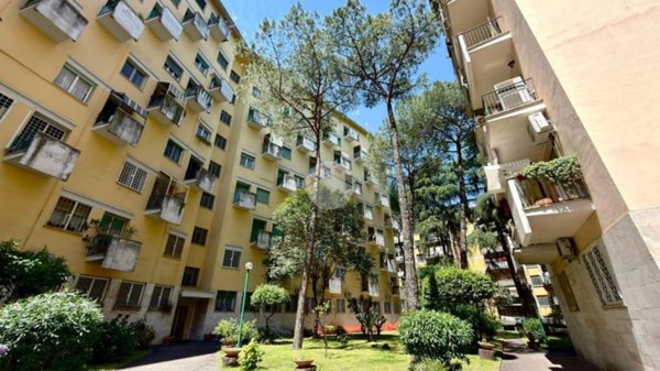 appartamento in vendita a Roma in zona Ardeatino