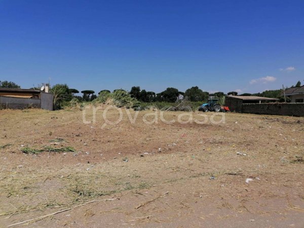 terreno agricolo in vendita a Roma in zona Infernetto