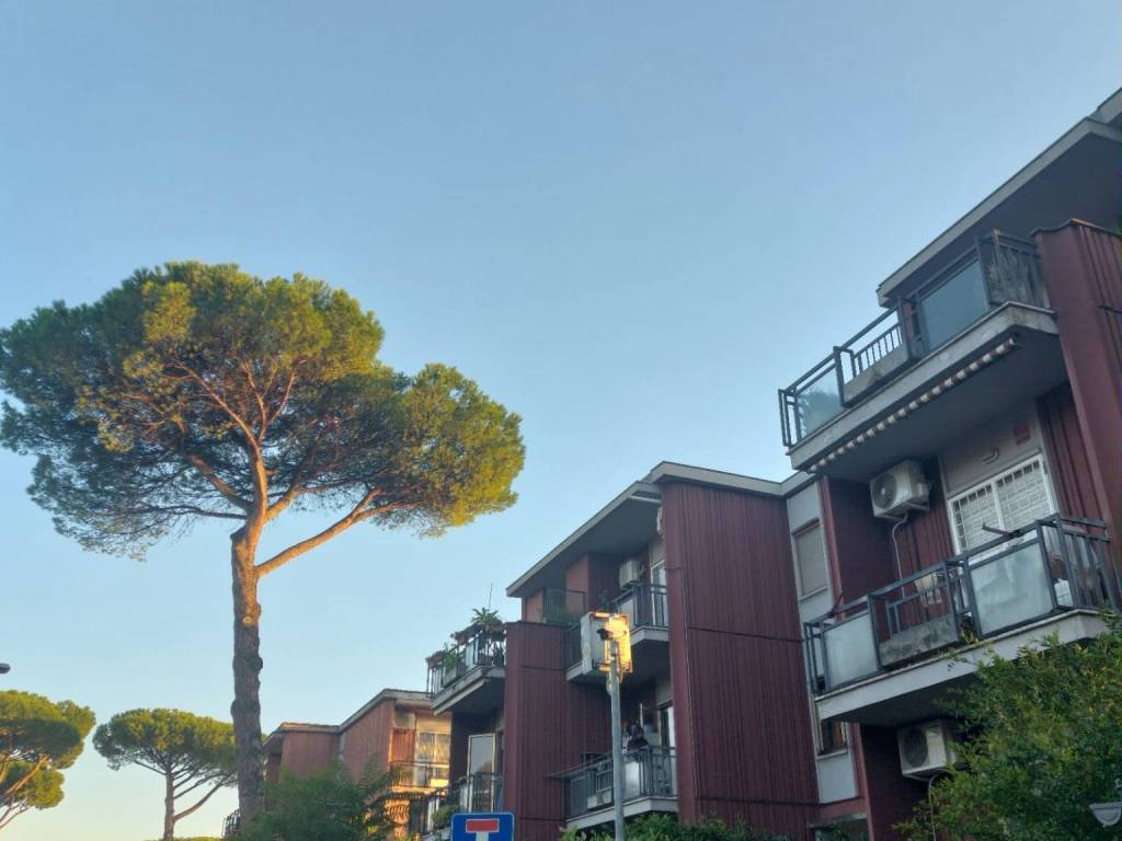 appartamento in vendita a Roma in zona Torre Gaia