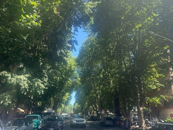 appartamento in vendita a Roma in zona Flaminio