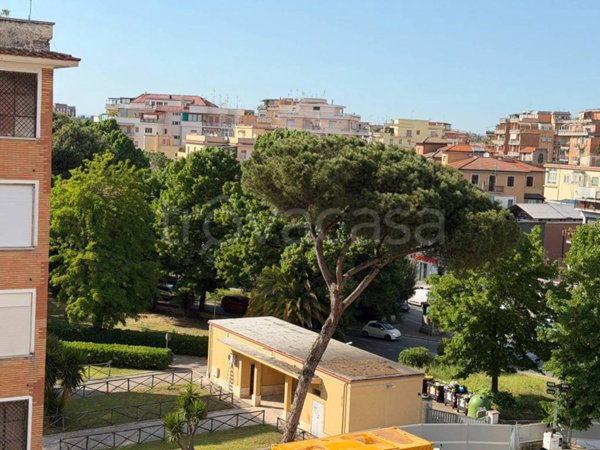 appartamento in vendita a Roma in zona Trionfale