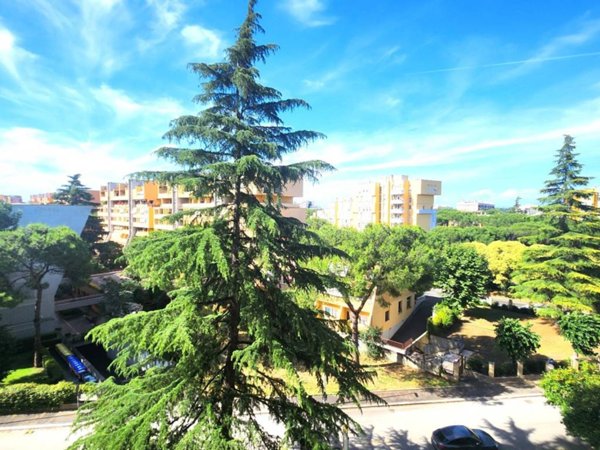 appartamento in vendita a Roma in zona Giuliano Dalmata