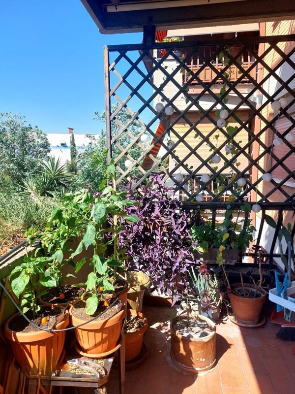 appartamento in vendita a Roma in zona Romanina