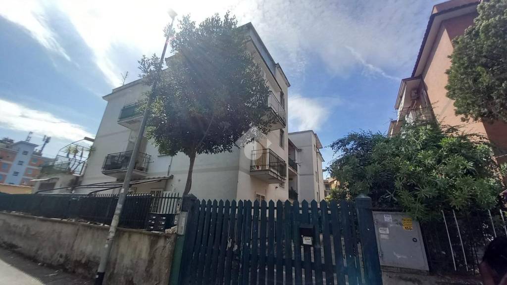 appartamento in vendita a Roma in zona Tor Vergata/Torrenova