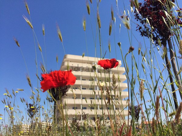 appartamento in vendita a Roma in zona Castel di Leva