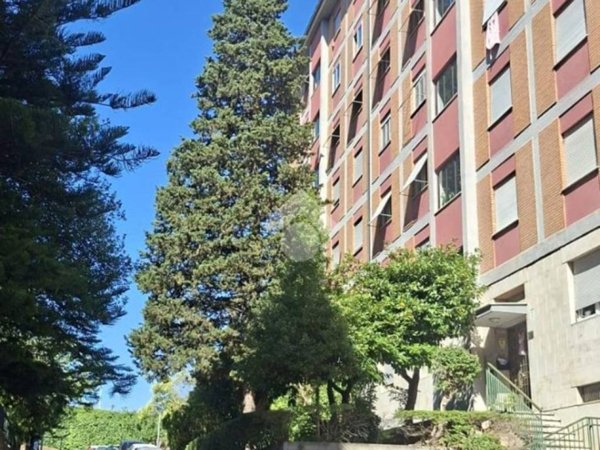 appartamento in vendita a Roma in zona Torre Spaccata