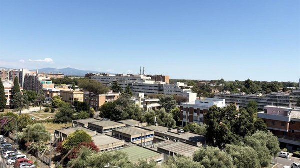 appartamento in vendita a Roma in zona Spinaceto