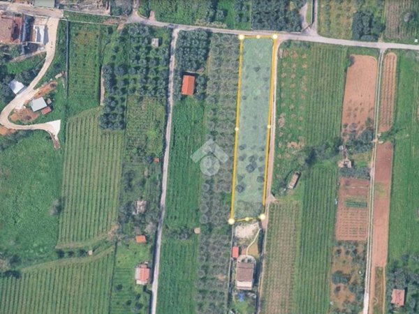 terreno agricolo in vendita a Roma in zona Finocchio
