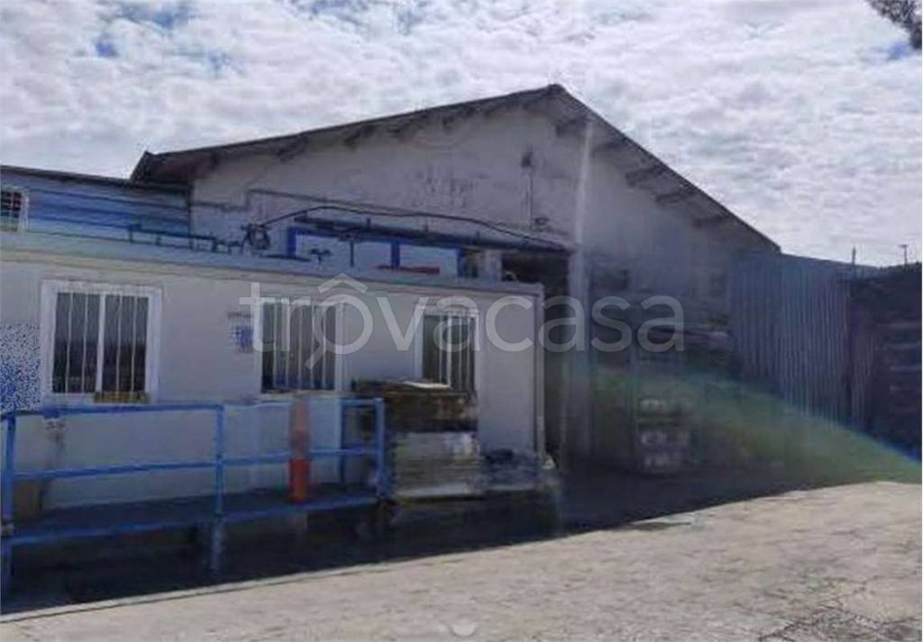appartamento in vendita a Roma in zona Tor Vergata/Torrenova