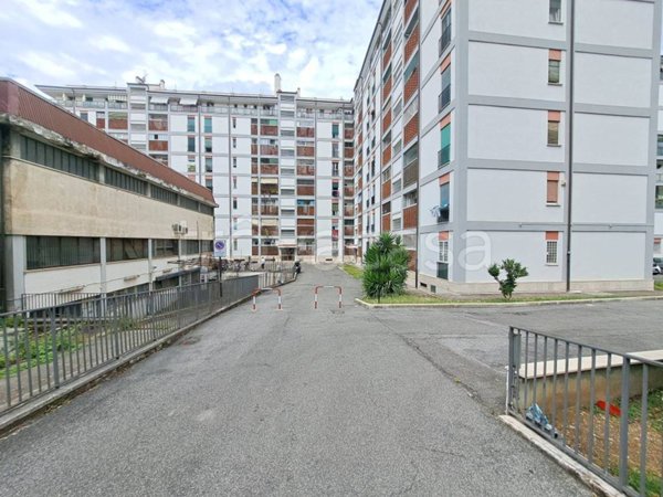 appartamento in vendita a Roma in zona Salario