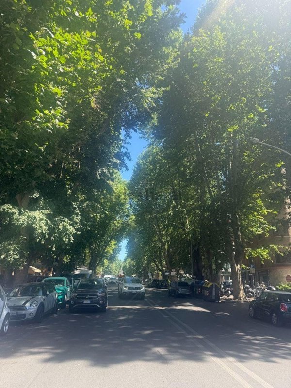 appartamento in vendita a Roma in zona Parioli
