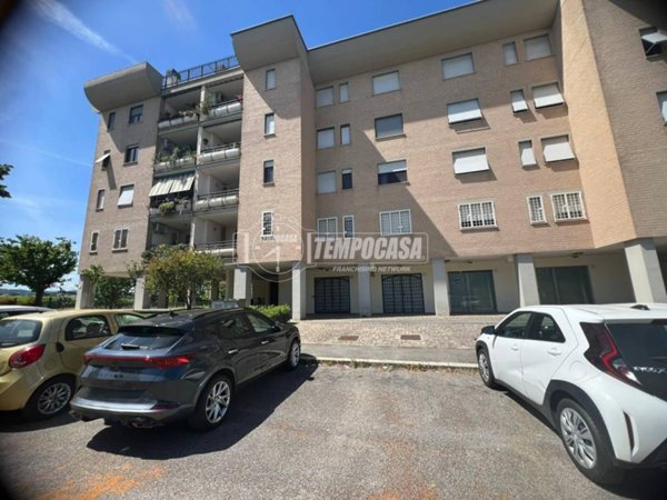 negozio in vendita a Roma in zona Tor Vergata/Torrenova