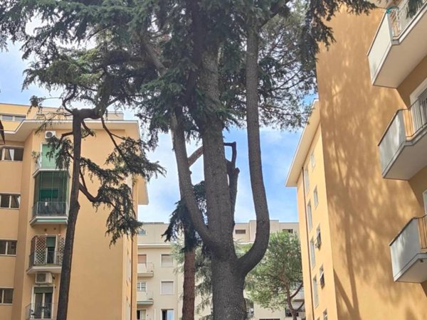 appartamento in vendita a Roma in zona Cinecittà