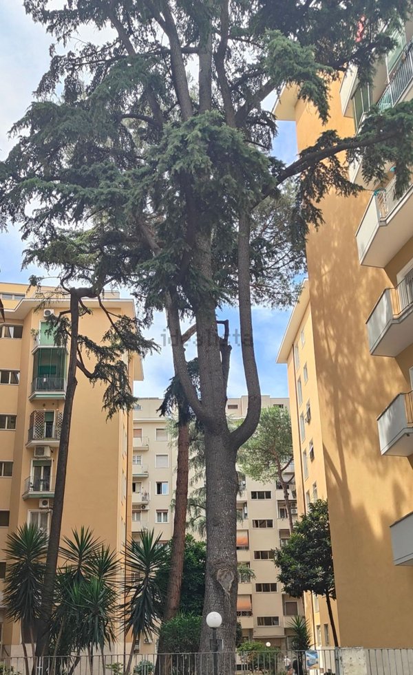 appartamento in vendita a Roma in zona Don Bosco