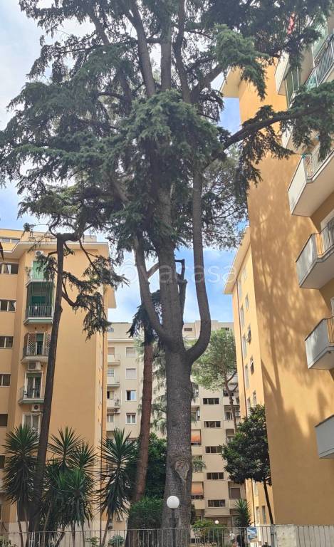 appartamento in vendita a Roma in zona Cinecittà