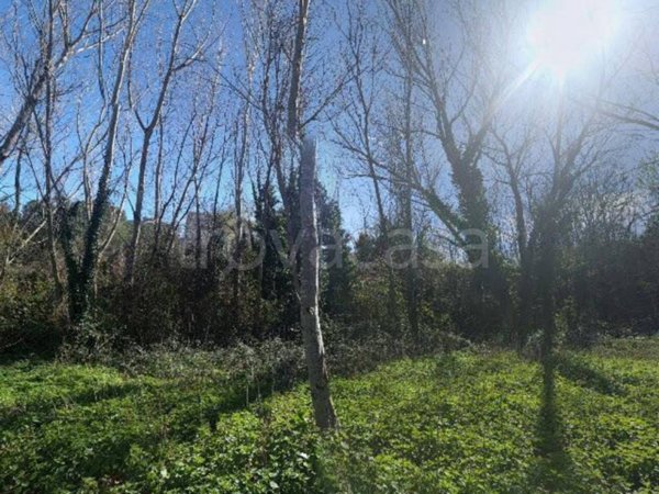 terreno edificabile in vendita a Roma in zona Ponte Mammolo