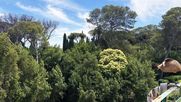 appartamento in vendita a Roma in zona Parioli