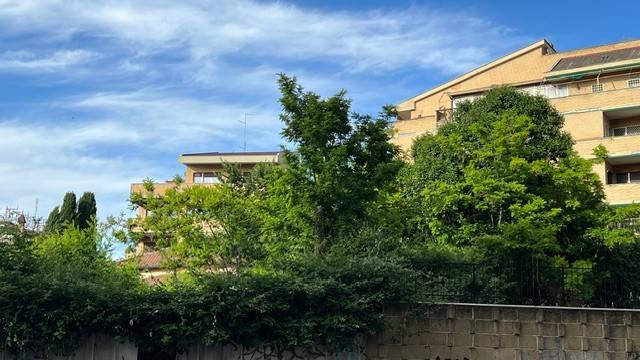 appartamento in vendita a Roma in zona Monte Sacro/Talenti