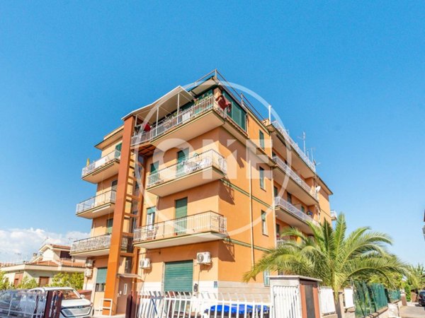 appartamento in vendita a Roma in zona Tor Vergata/Torrenova