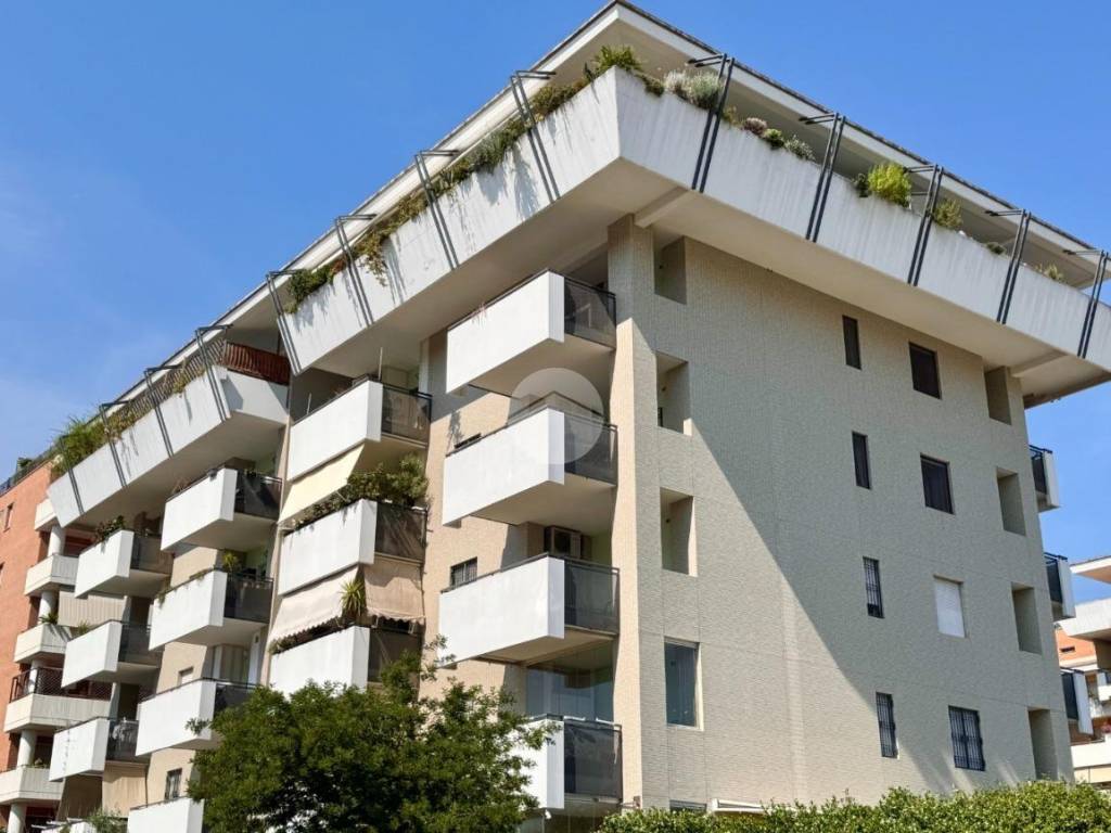 appartamento in vendita a Roma in zona Monte Sacro/Talenti