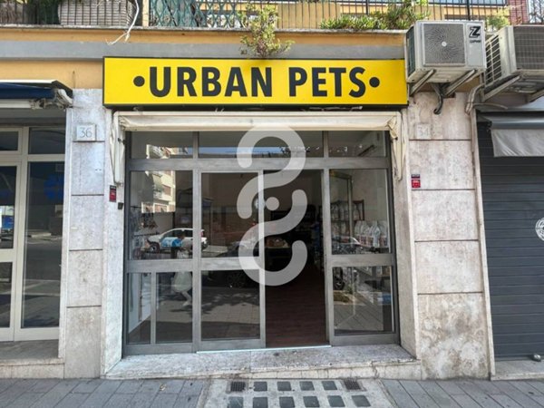 negozio in vendita a Roma in zona Appio Latino