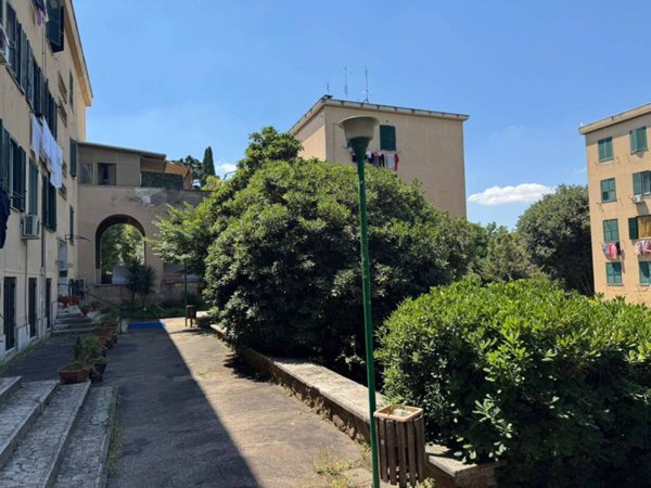 appartamento in vendita a Roma in zona Monte Sacro/Talenti