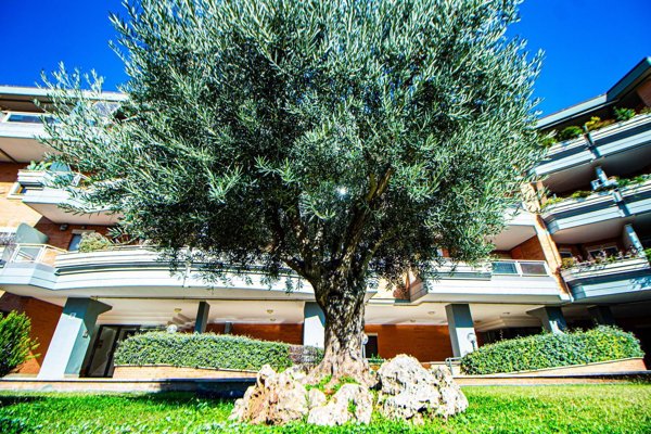 appartamento in vendita a Roma in zona Montespaccato