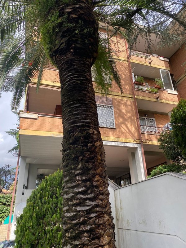 appartamento in vendita a Roma in zona La Pisana