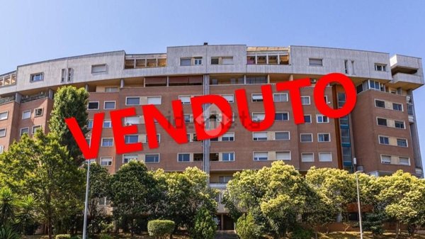 appartamento in vendita a Roma in zona Ardeatino