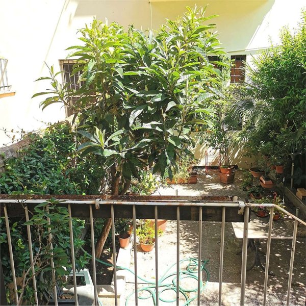 appartamento in vendita a Roma in zona Portuense