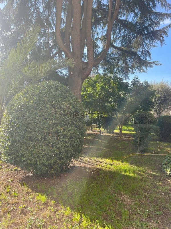 appartamento in vendita a Roma in zona Salario