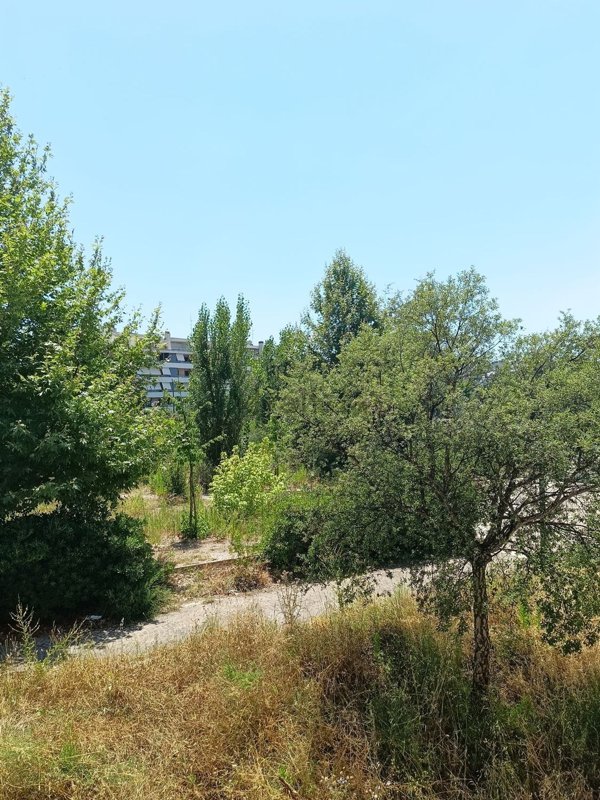 appartamento in vendita a Roma in zona Castel Giubileo