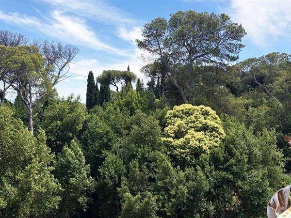 appartamento in vendita a Roma in zona Parioli