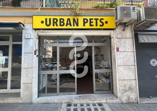 negozio in vendita a Roma in zona Appio Latino