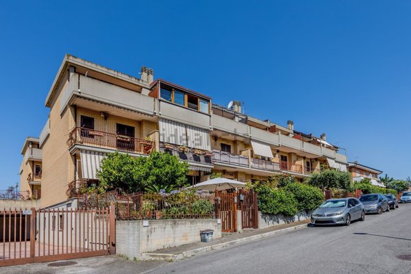 esavano in vendita a Roma in zona Massimina/Casal Lumbroso