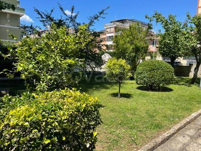 appartamento in vendita a Roma in zona Primavalle