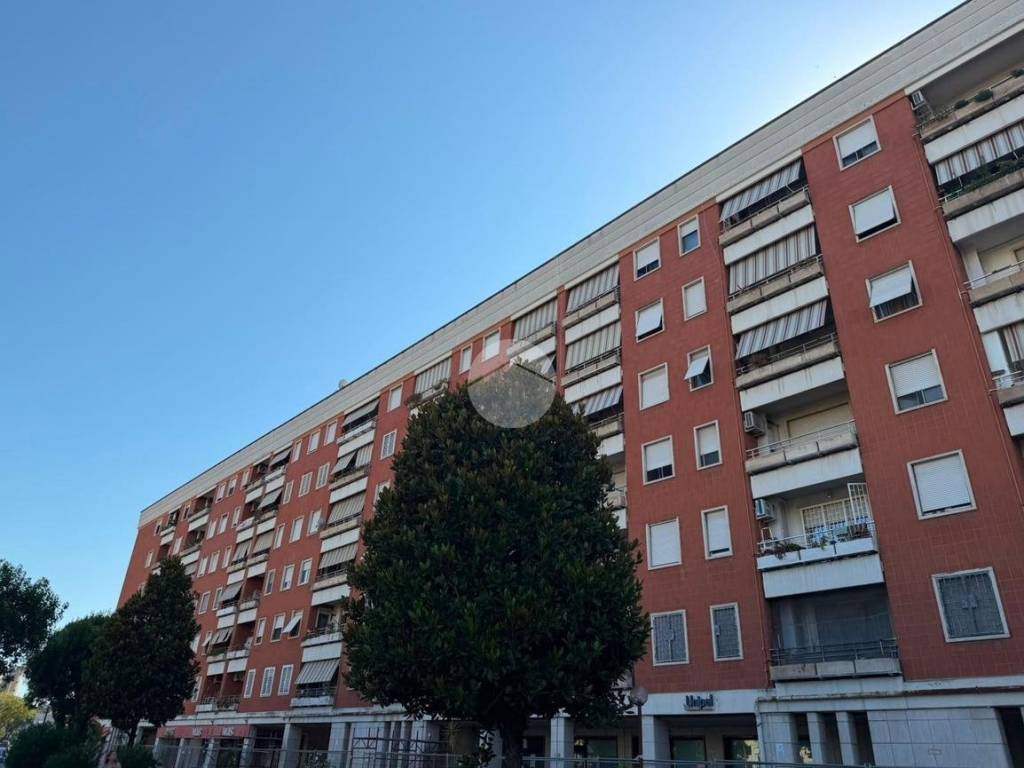 appartamento in vendita a Roma in zona Monte Sacro/Talenti