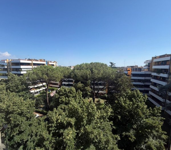appartamento in vendita a Roma in zona Giuliano Dalmata